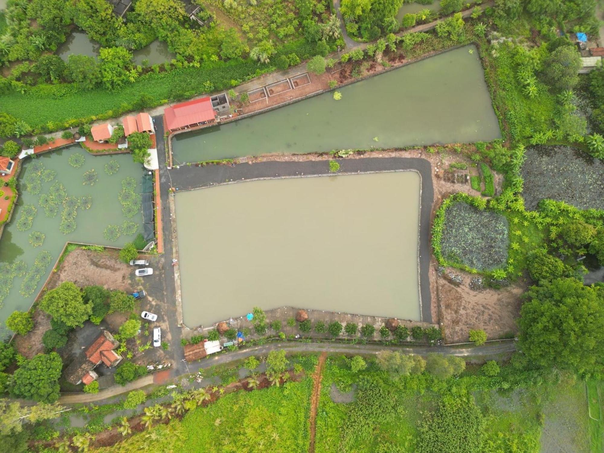 Tam Coc Cat Luong Homestay 닌빈 외부 사진